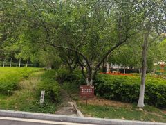 -广州市流溪河国家森林公园