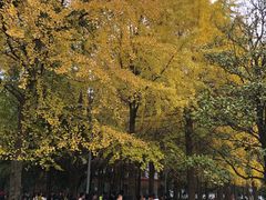 -四川大学(望江校区)