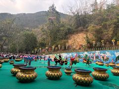 -西双版纳原始森林公园