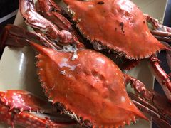 -大锅强·蒸海鲜青岛菜(吾悦广场店)