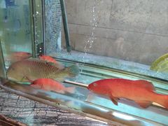 -海逸海鲜酒家(古北店)