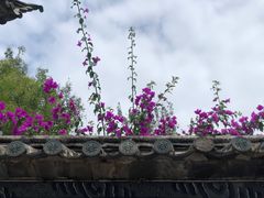 -云南民族村