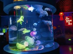 -太平洋海底世界