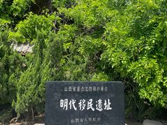 -大槐树寻根祭祖园