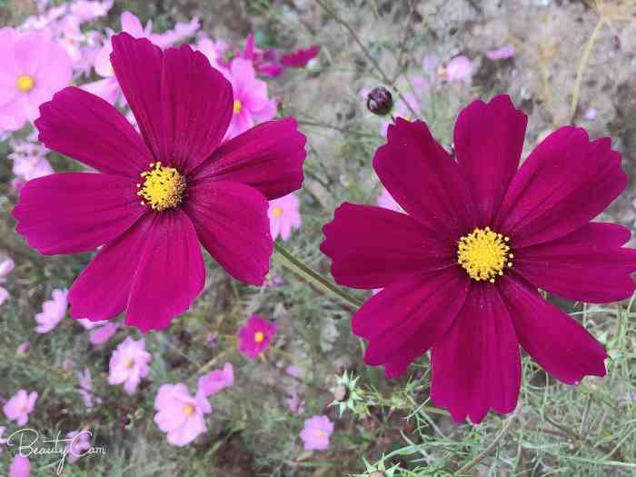 感知中国博览园-"感知中国博览园 位于净慧东道的附近这里的.