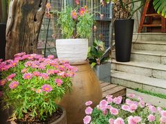 -谷咖啡·鲜花绿植花园餐厅