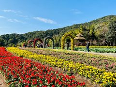 -广州市石门国家森林公园