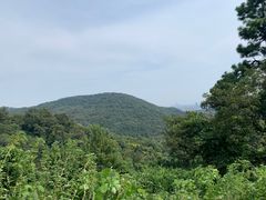 -南京老山国家森林公园