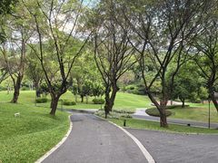 -云溪植物园