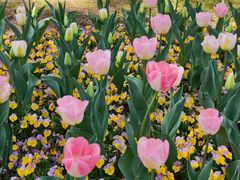 -玄武湖景区-情侣园游乐场