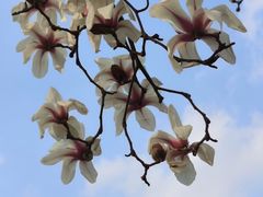 -桃源居(蠡园店)