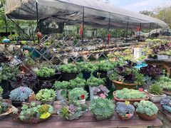-广东花都香草世界旅游度假区