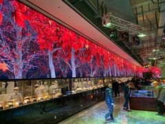 -云境生态园(红谷滩店)