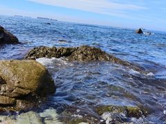 -西涌国际滨海旅游区