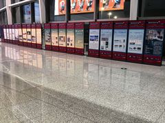 -青岛胶东国际机场