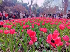 -成都市文化公园
