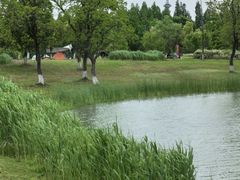 -海宁鹃湖公园