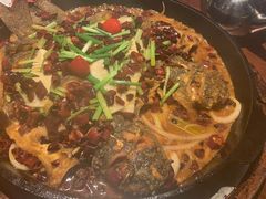 -老板恋上鱼(高新万达店)
