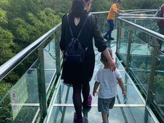 -陶祖圣境风景区