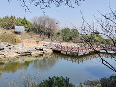 -北京西山国家森林公园