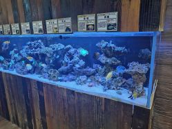 -Zoolung Zoolung动物主题公园(海信广场店)