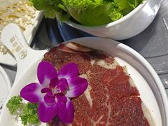 -外婆掌柜·东北家庭烤肉(托乐嘉店)