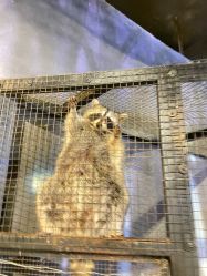 -酷嗒动物文化乐园(cutezoo西溪乐天城店)