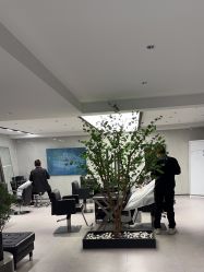点击看大图 -付军剪艺JF ProSalon
