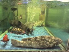 -聚福宝合苑食府(南头镇店)