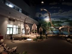 -自贡恐龙博物馆