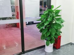 -张钰强中医正骨推拿连锁(唐家人才公寓店)