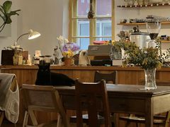 -春风十里咖啡馆