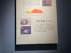 -辽宁古生物博物馆