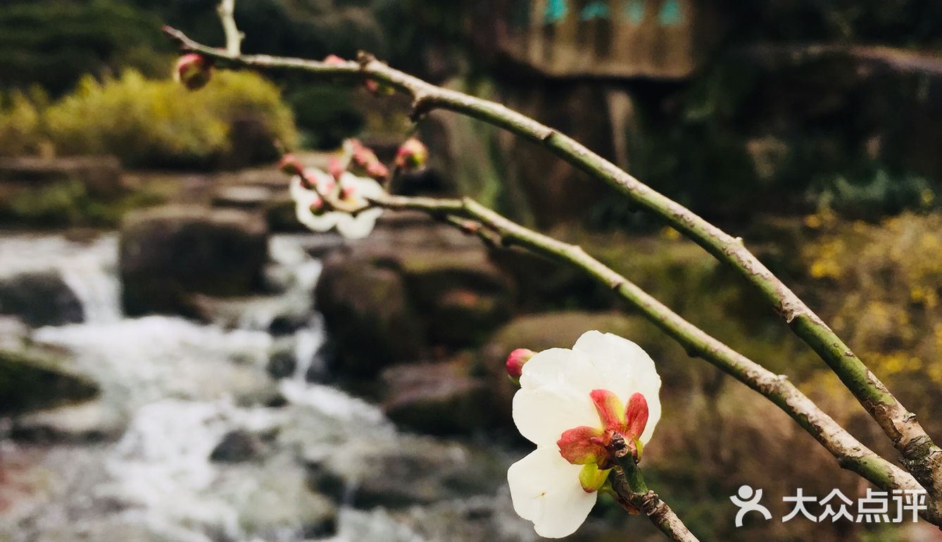 老天爷在春节几天给了几个晴天还是算蛮好的了