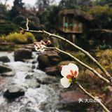 老天爷在春节几天给了几个晴天还是算蛮好的了