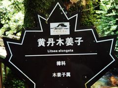 -瓦屋山景区