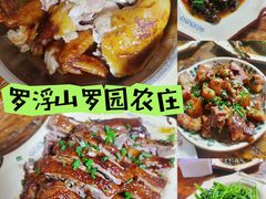 -罗浮山·罗园农庄