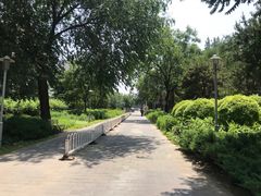 -望湖公园