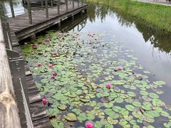 -梁鸿国家湿地公园