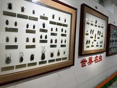 -上海昆虫博物馆