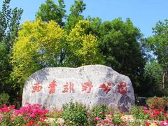 -西青郊野公园