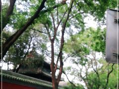 -北京国子监胡同