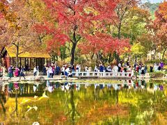 -西山人家·传统苏帮菜·家宴(木渎店)