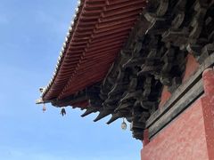 -善化寺