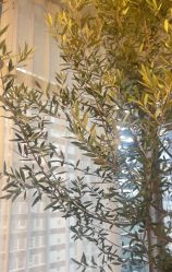 点击看大图 -Y+U遇瑜伽·普拉提