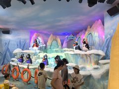 -帝企鹅自助餐厅•儿童岛•真企鹅(长隆企鹅酒店)