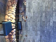 荷塘码头黑鱼馆-湘芙蓉·湖南菜(椒江店)