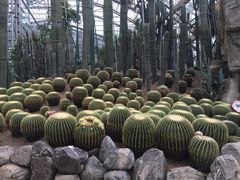 -南山植物园
