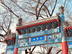 -北京国子监胡同