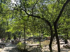 -广州白江湖森林公园